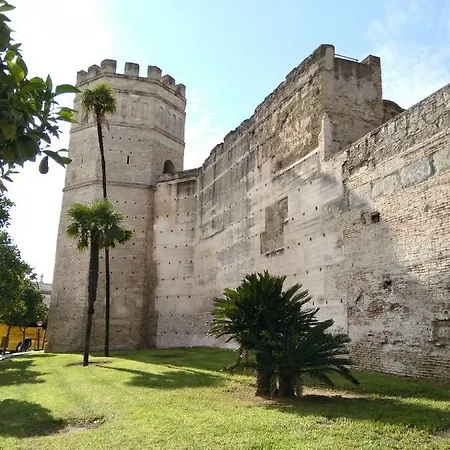 شقة Alojamiento Hipatia En Pleno Casco Historico جيريز