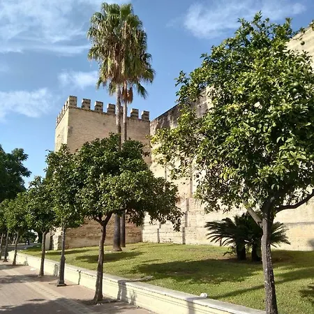 Apartamento Alojamiento Hipatia En Pleno Casco Historico *