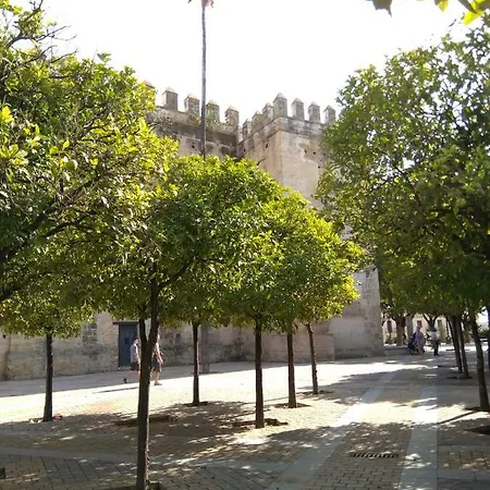 Alojamiento Hipatia En Pleno Casco Historico شقة جيريز