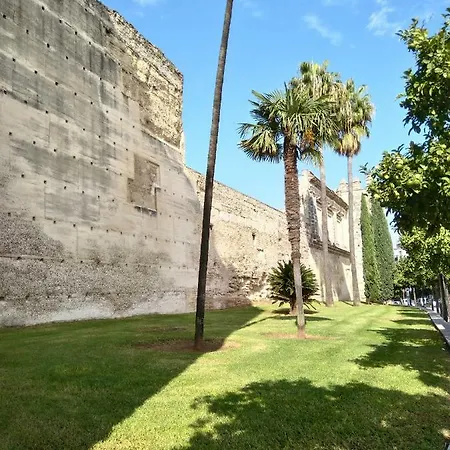شقة Alojamiento Hipatia En Pleno Casco Historico