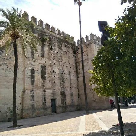 Alojamiento Hipatia En Pleno Casco Historico Jerez de la Frontera